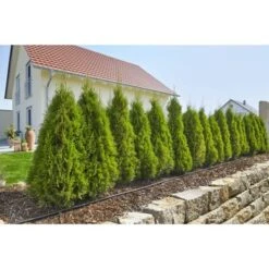 Gardena Micro Drip Startset M Voor Rijplanten (excl Timer) -Gardena 123 1042