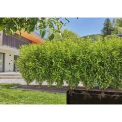 Gardena Micro Drip Druppelbuis 50 Meter Ondergronds En Bovengronds -Gardena 123 968